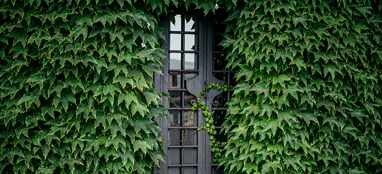 Garden Gate Repair in Riviera Beach, FL
