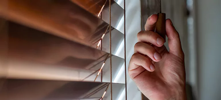 Double Roller Blinds in Riviera Beach, FL
