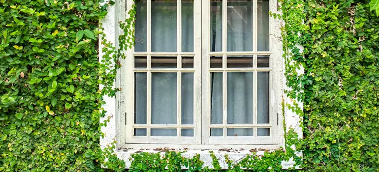 Garden Window Repair Near Me in Riviera Beach, FL